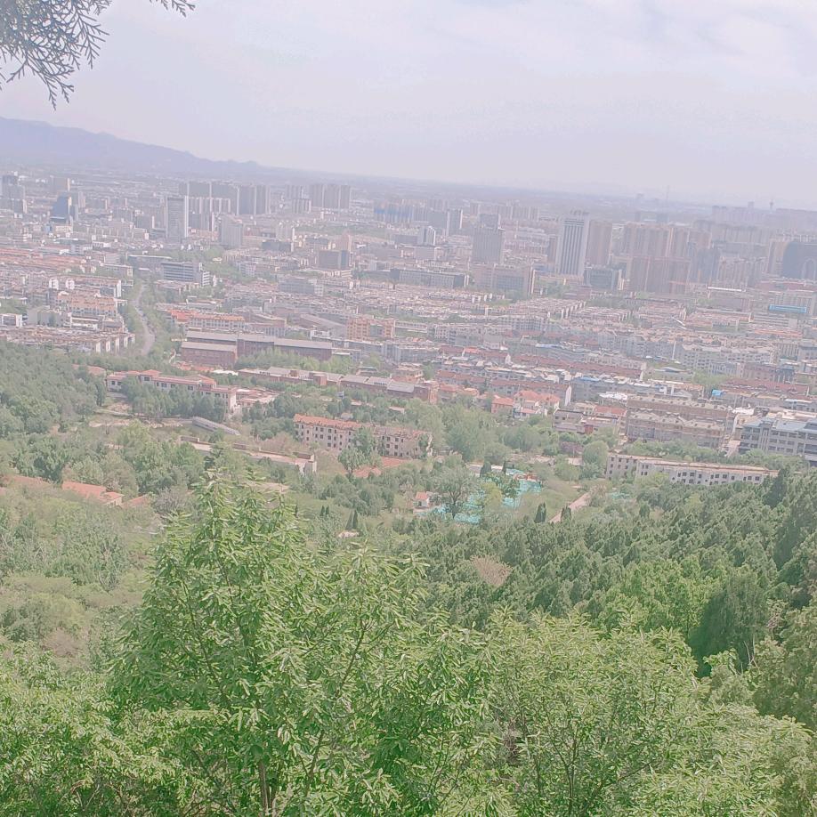 李面有颗荷包蛋