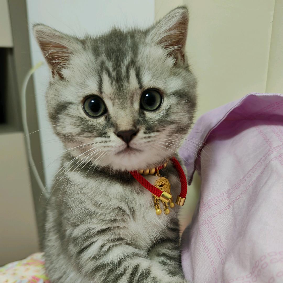 家有进宝