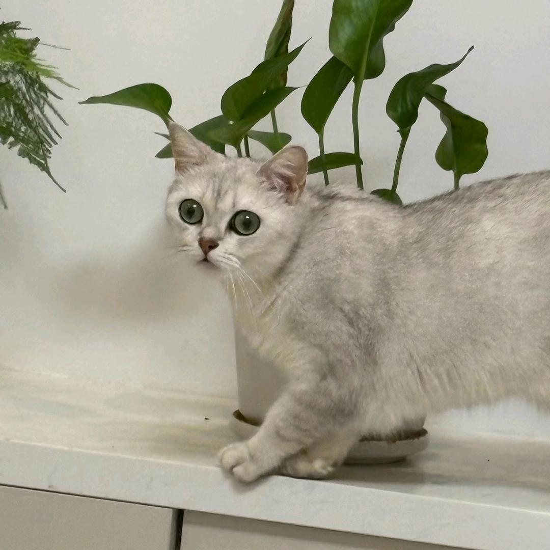 (⑅•͈ᴗ•͈).:*♡廖定$是你