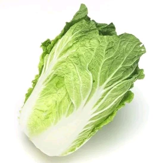 阴暗的神经