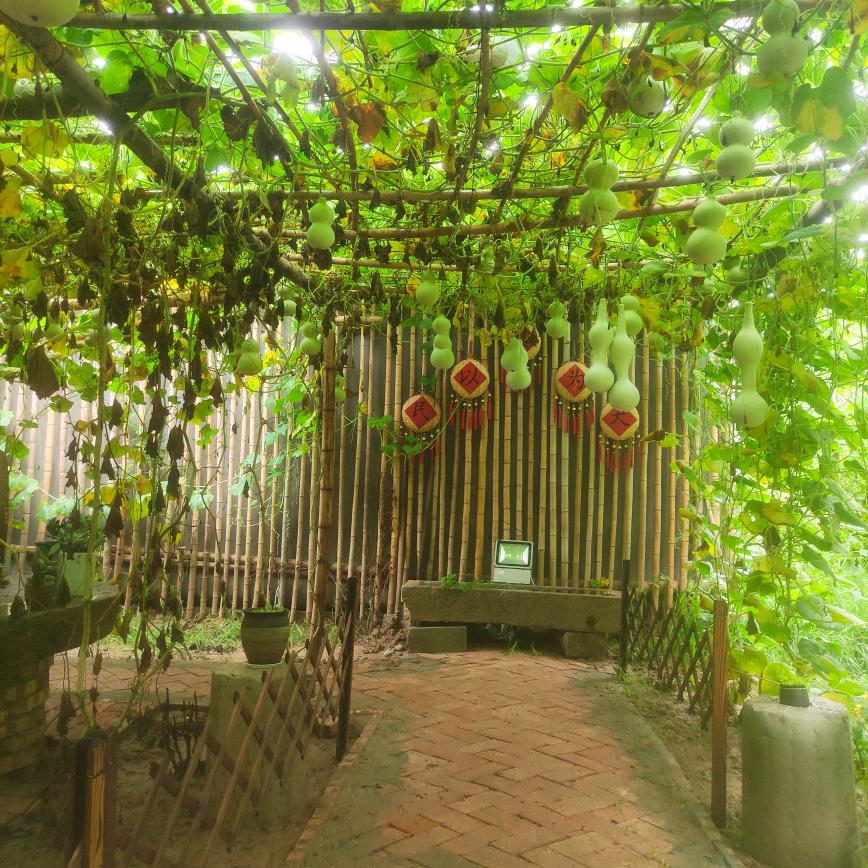 农家无添加粉条