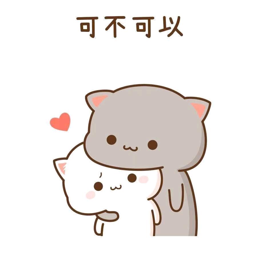 小小瑾子