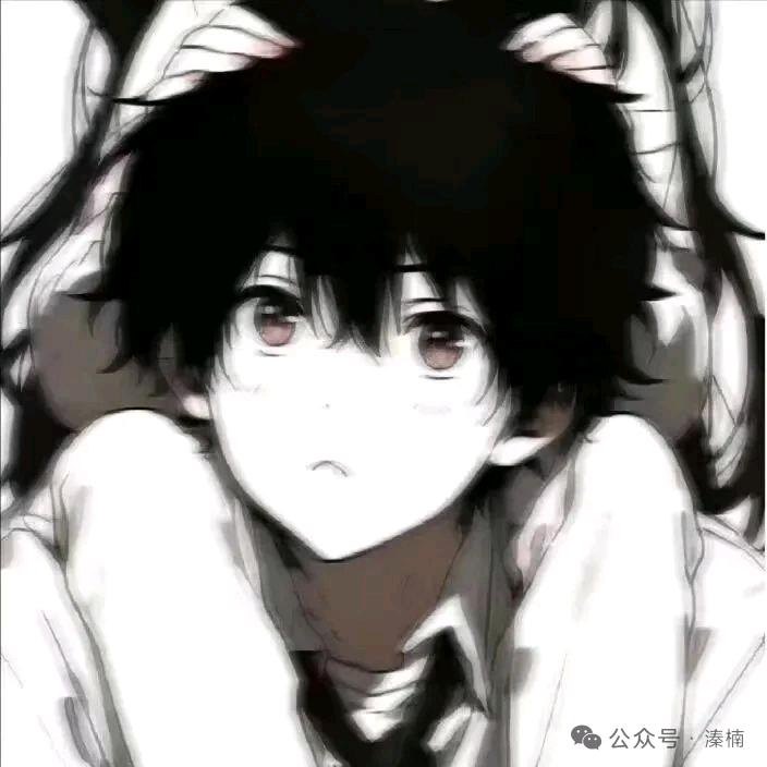 呆迪