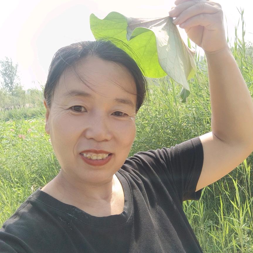 风再起时。