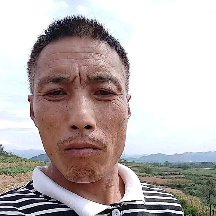 见兔才放鹰《单身》