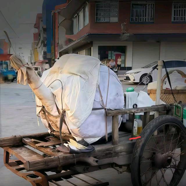 油茶大爷