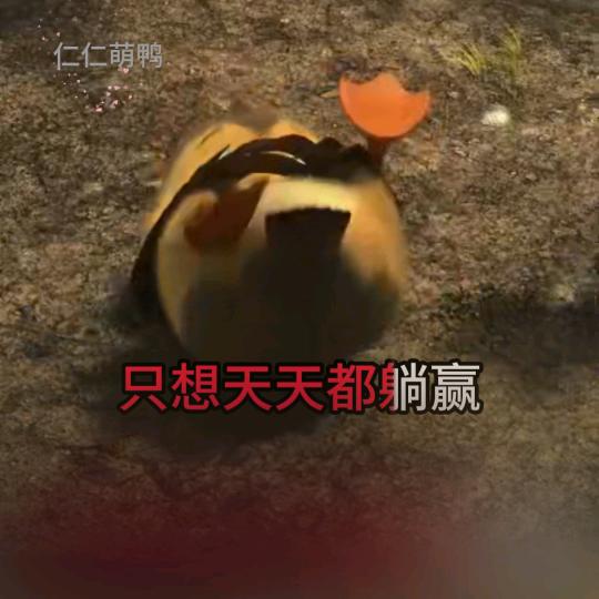 ༃未来靠自己༂