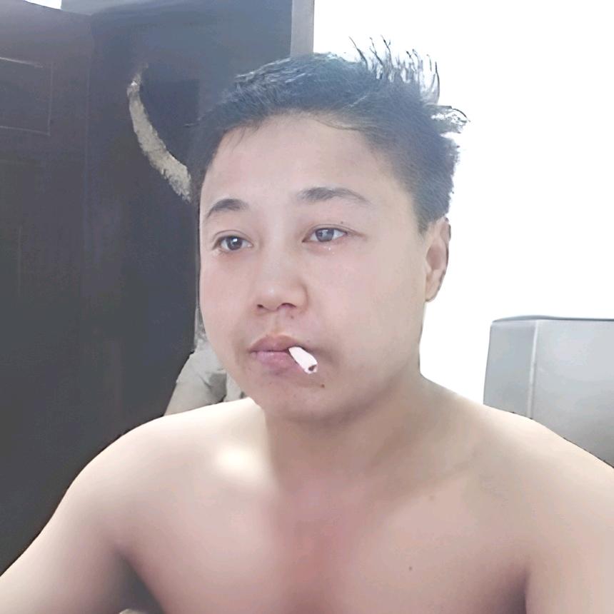 自由飞翔
