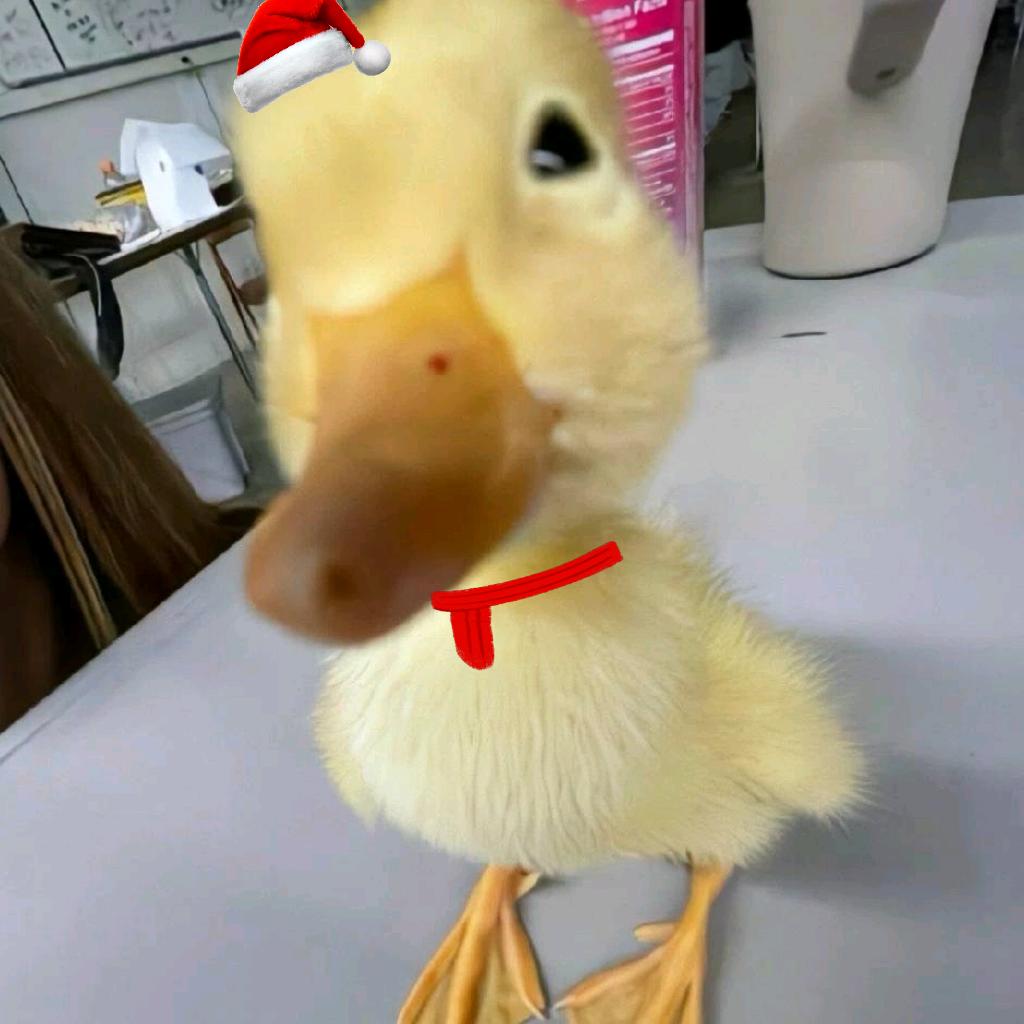 ya🥨🥨