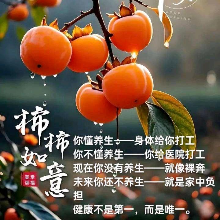 柿柿如意