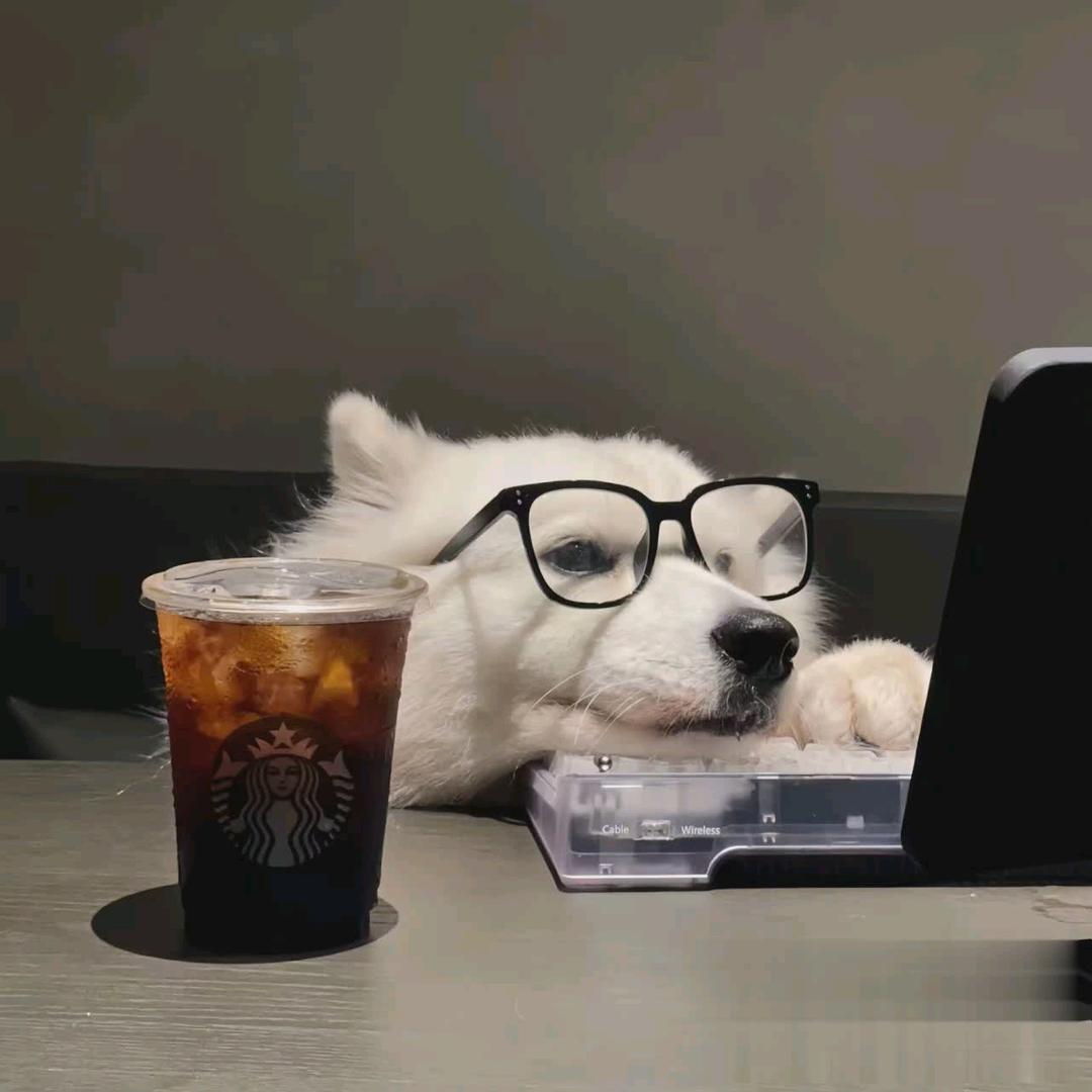 𝙎