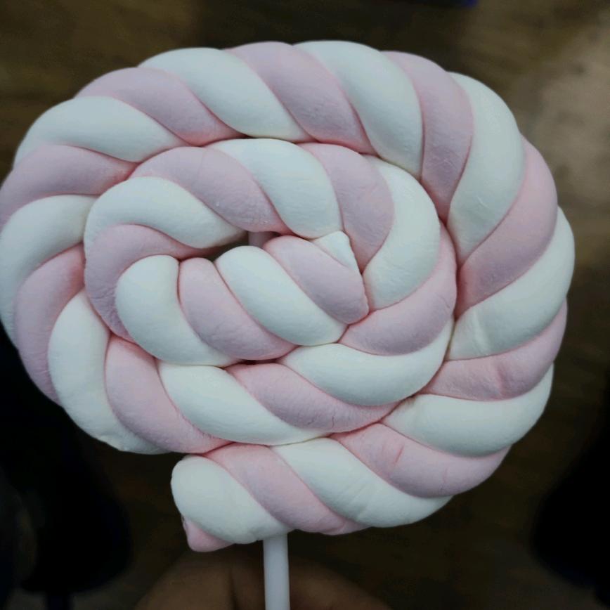 🌈齐生荧惑！🌈