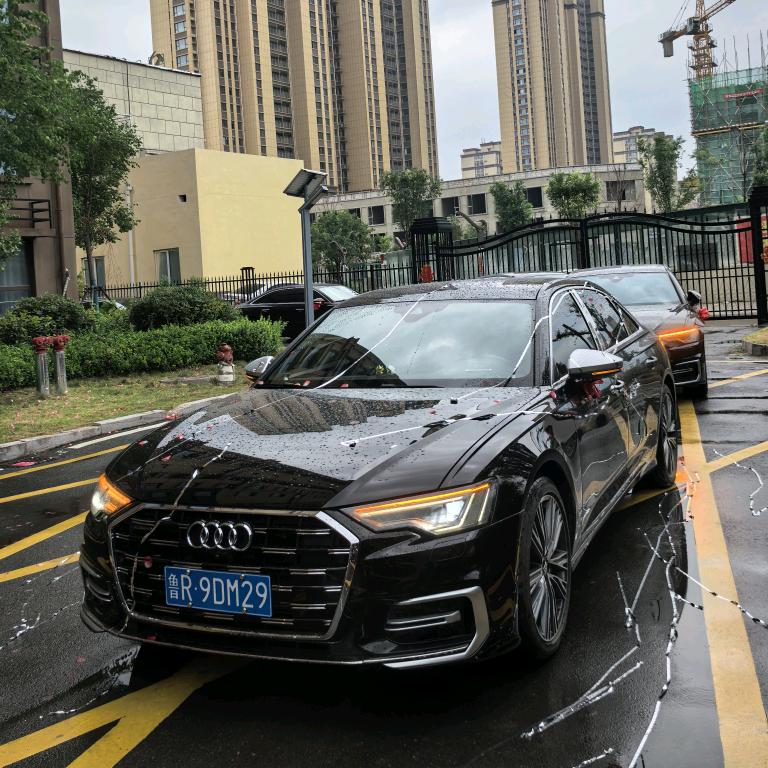 成武爱尚婚车🌈彩虹门