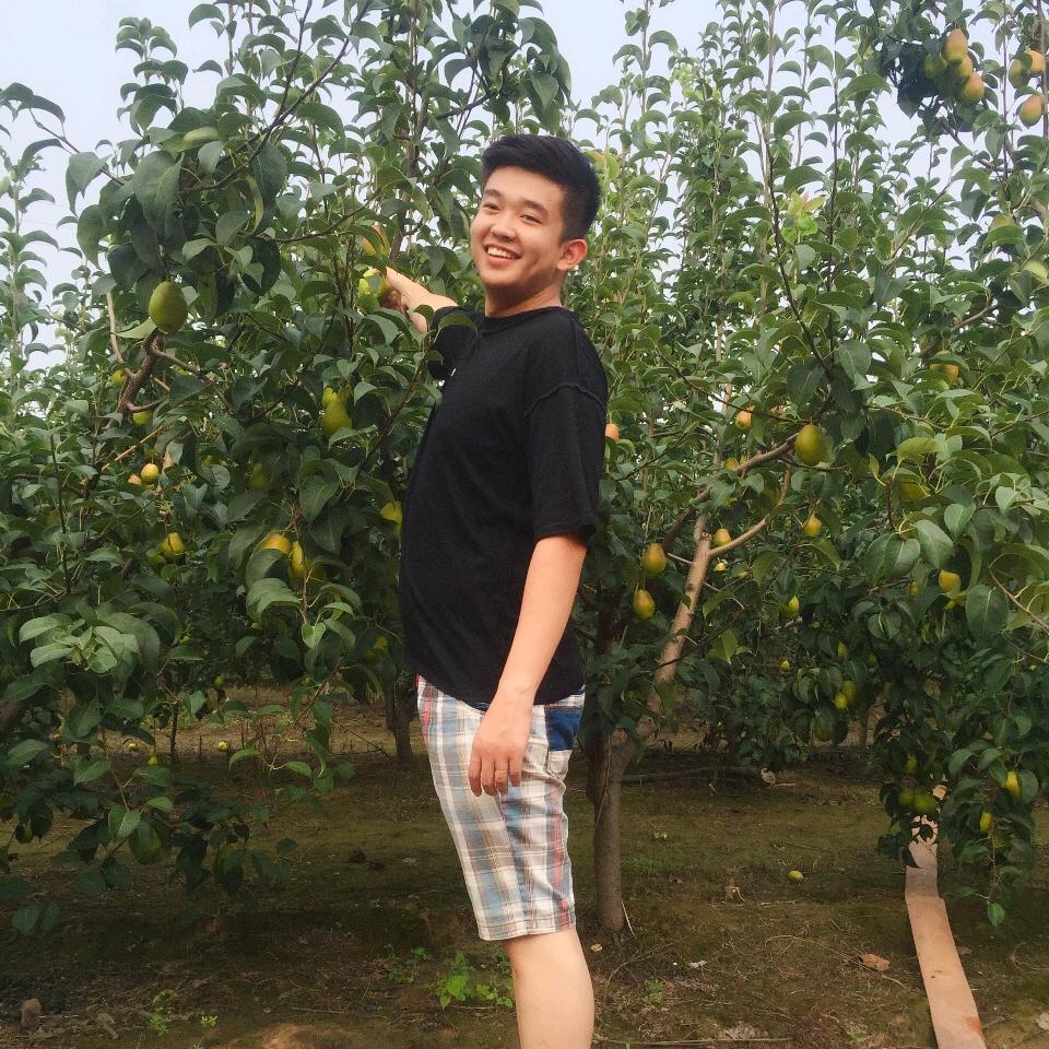 河南中专赵真探