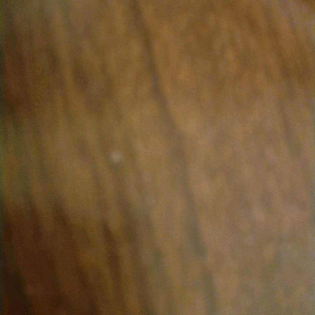 用户951834256