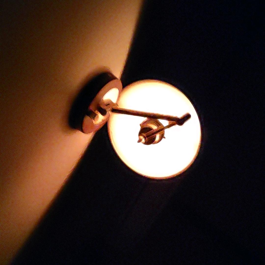 长公主🐬🐬🐬