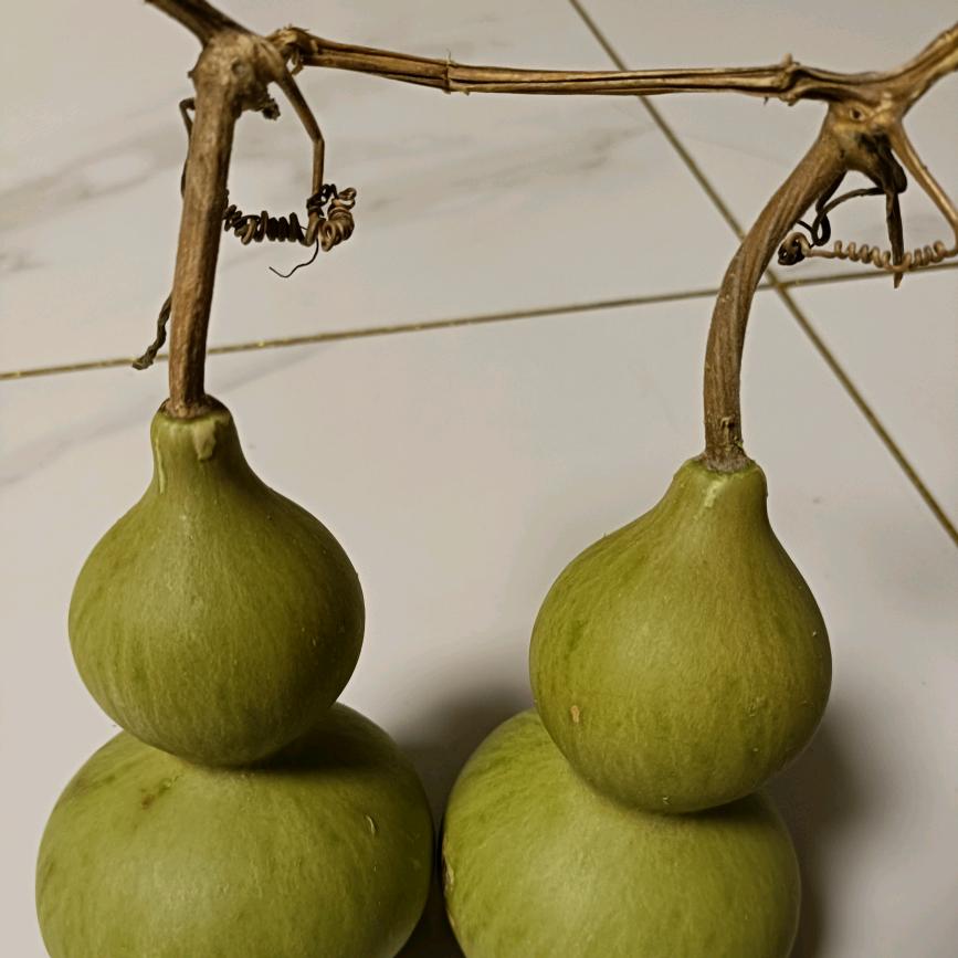 昌邑大章12号洗姜机