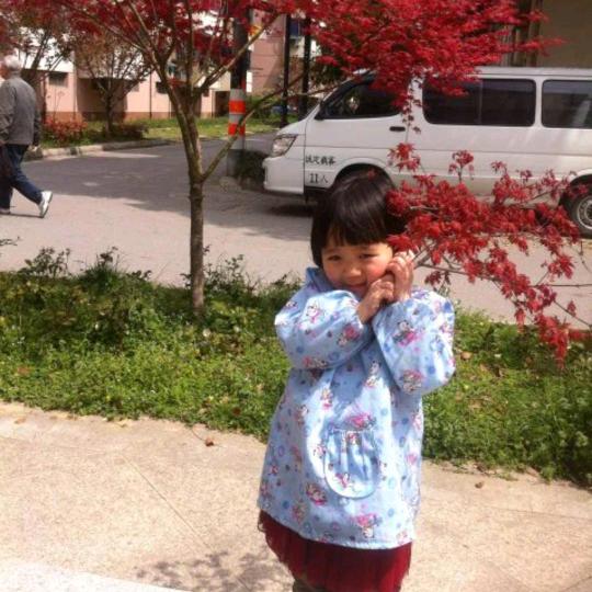 星火燎原🔥🔥🔥🔥