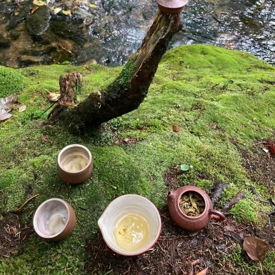 瑞丽林小曼（蓠异）