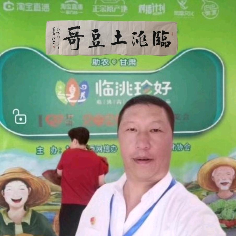 临洮土豆哥