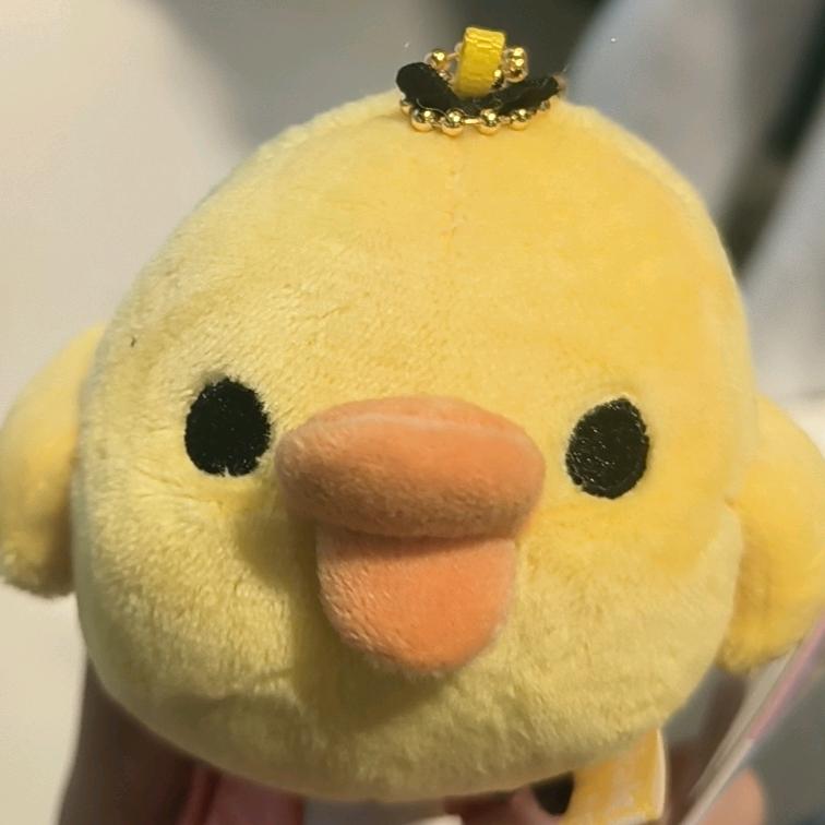 Duang Duang Duang👿