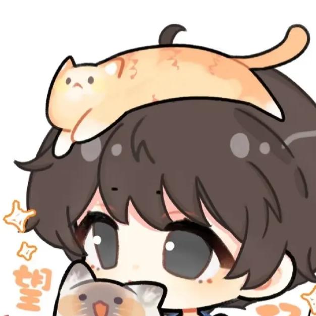 某块大陈皮