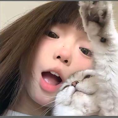 炸鸡块ʸ