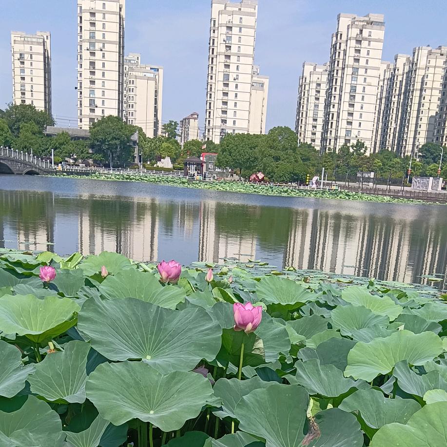 没有爱就不要伤害