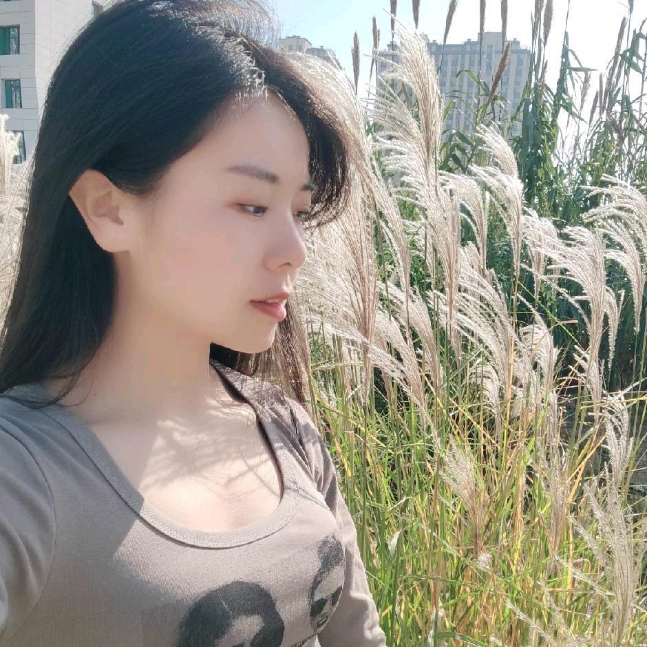 知承可视采耳小宋