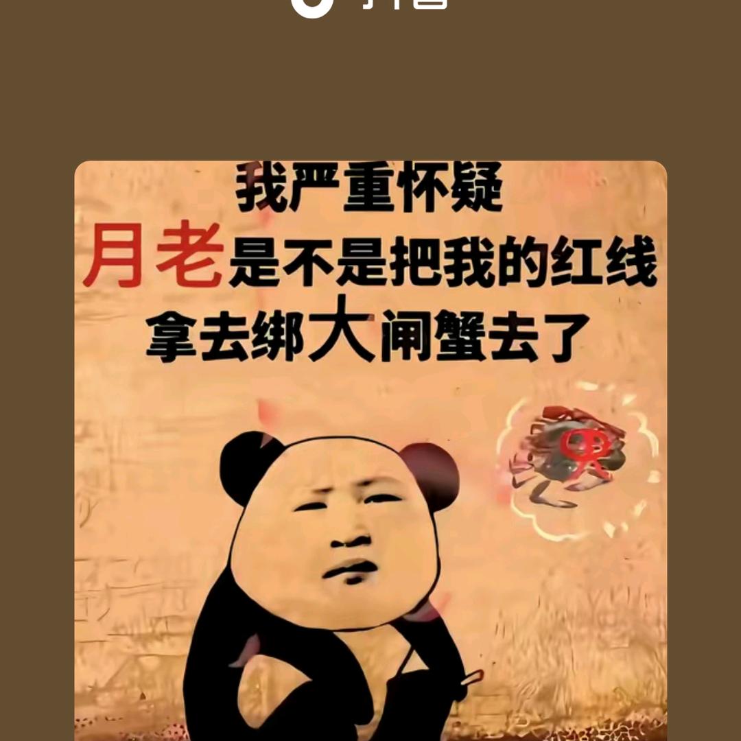 .̶♡̶孤独终老