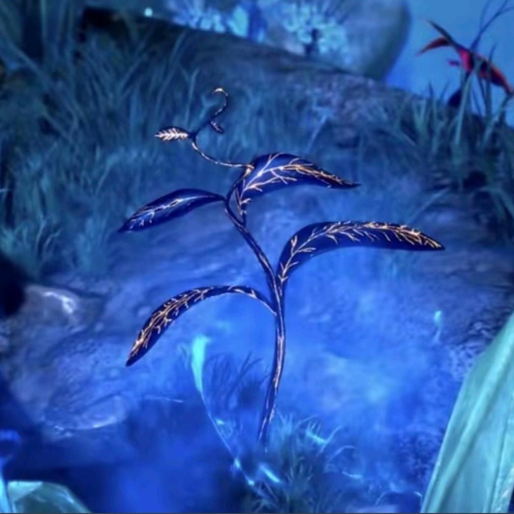 蓝银草(海神双生武魂之一)