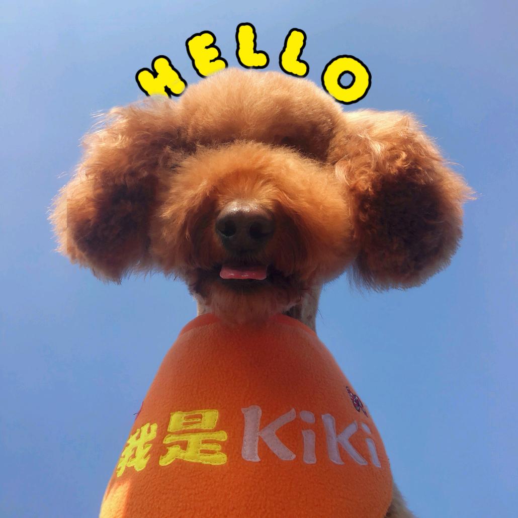 哈喽KiKi
