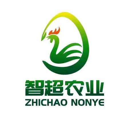 智超鸡蛋