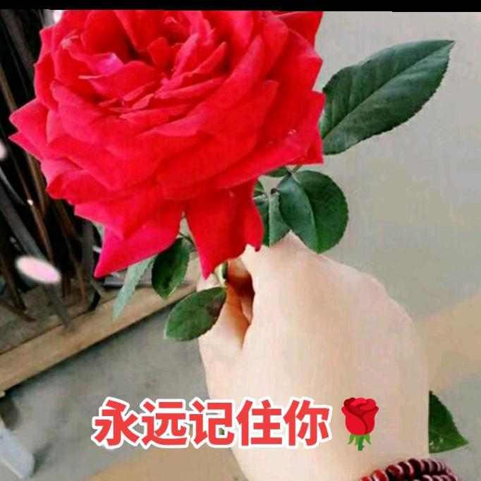 永远记住你🌹