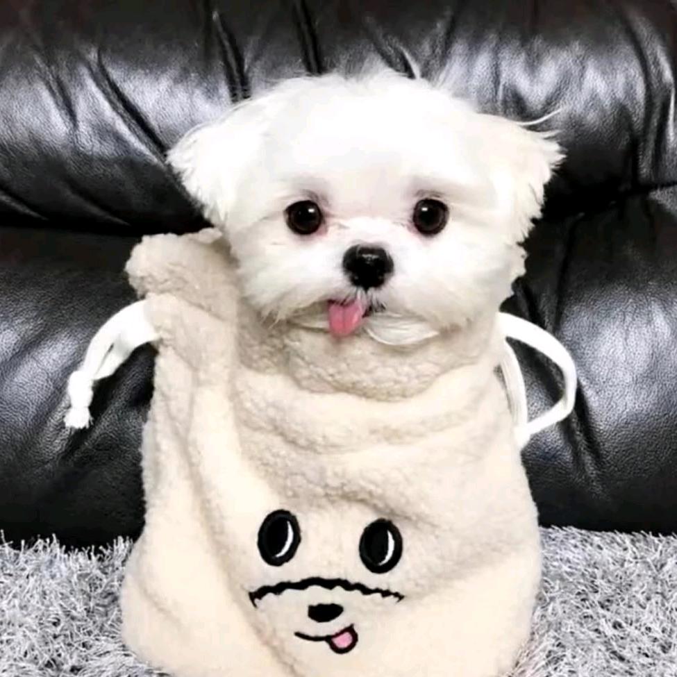 敏的朋友圈.