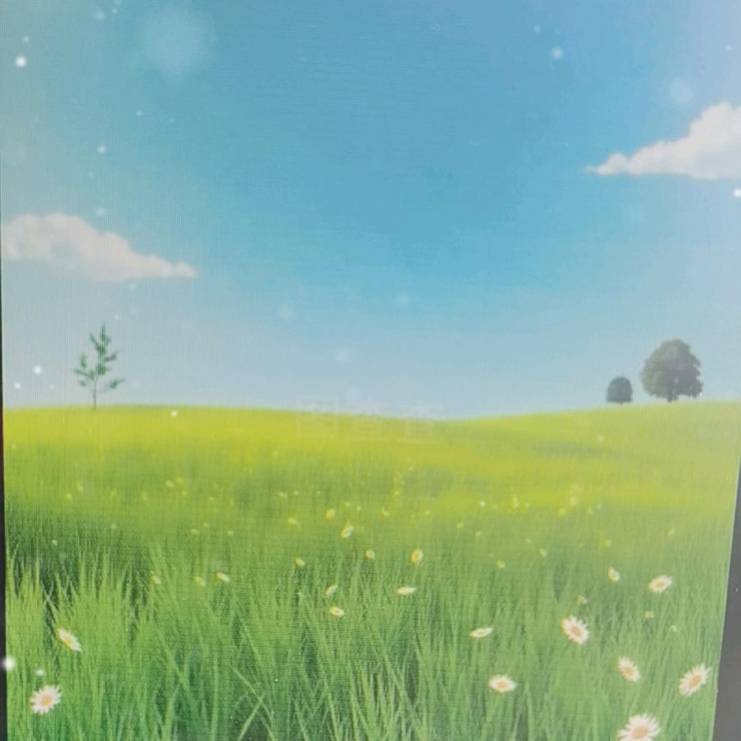 金子塔里没金子