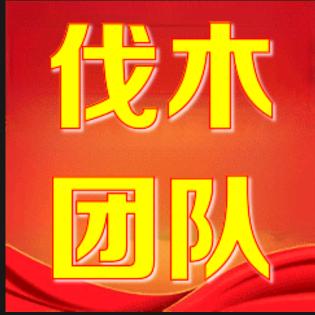 贵州伐木队