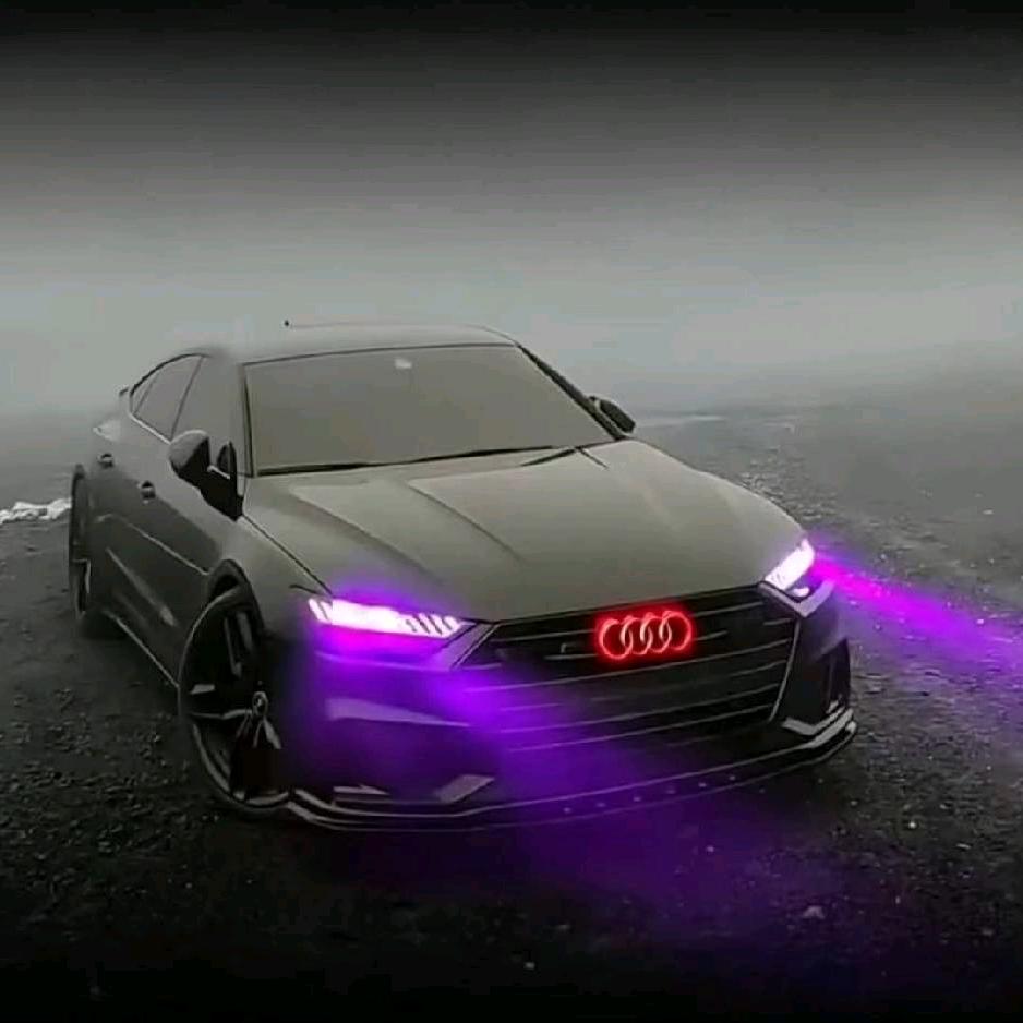 🩶