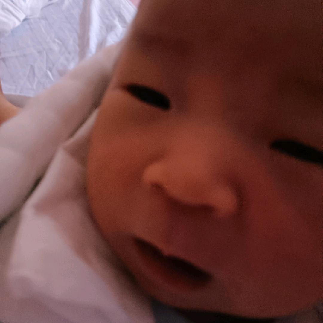 赵秋云