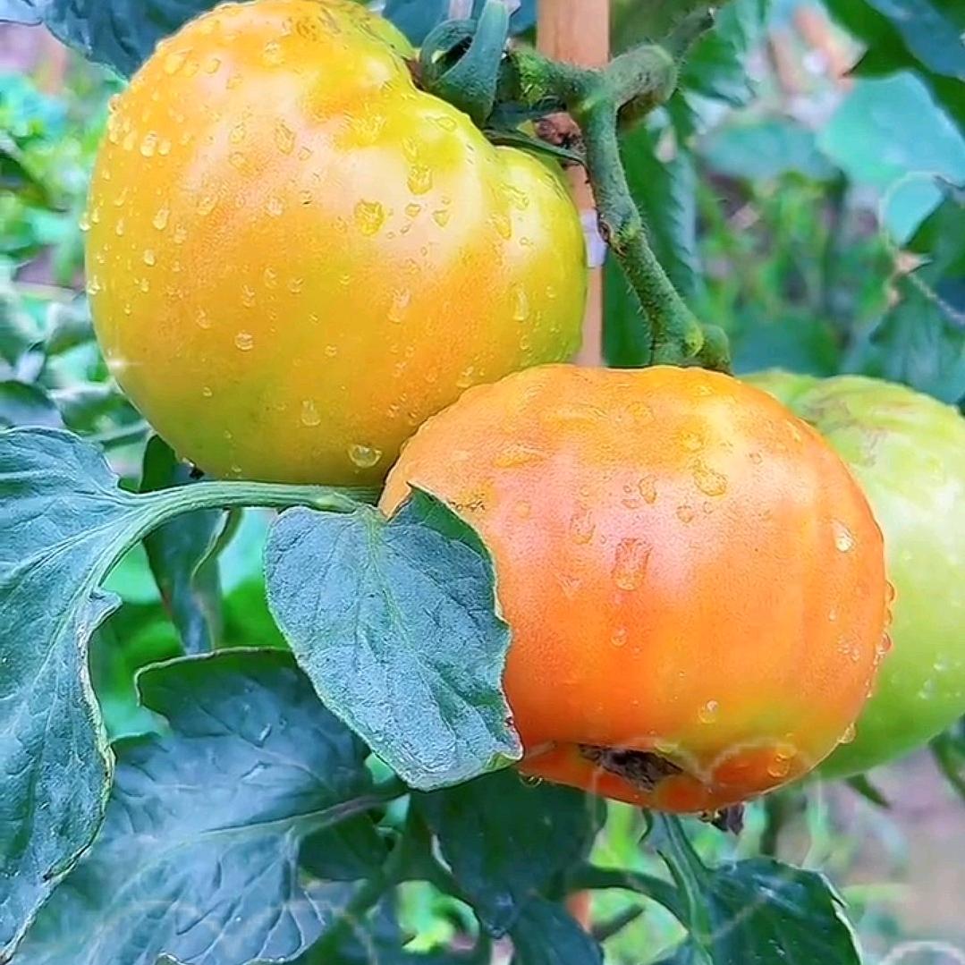 抹去过往