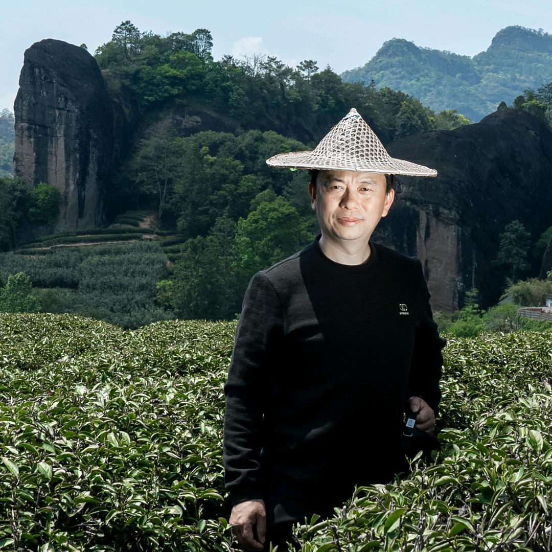 武夷岩茶I张先进