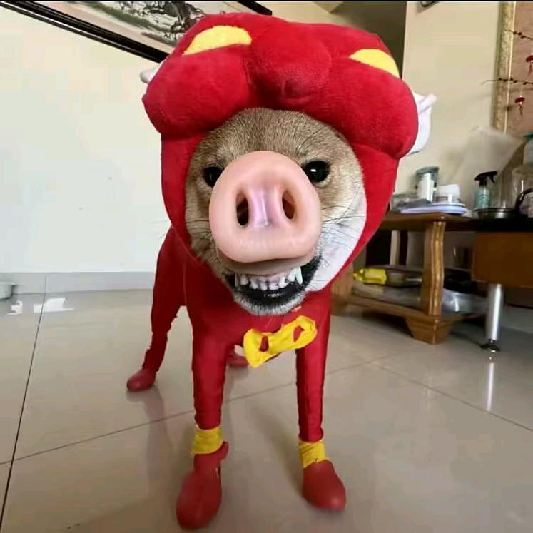 云散覔辰