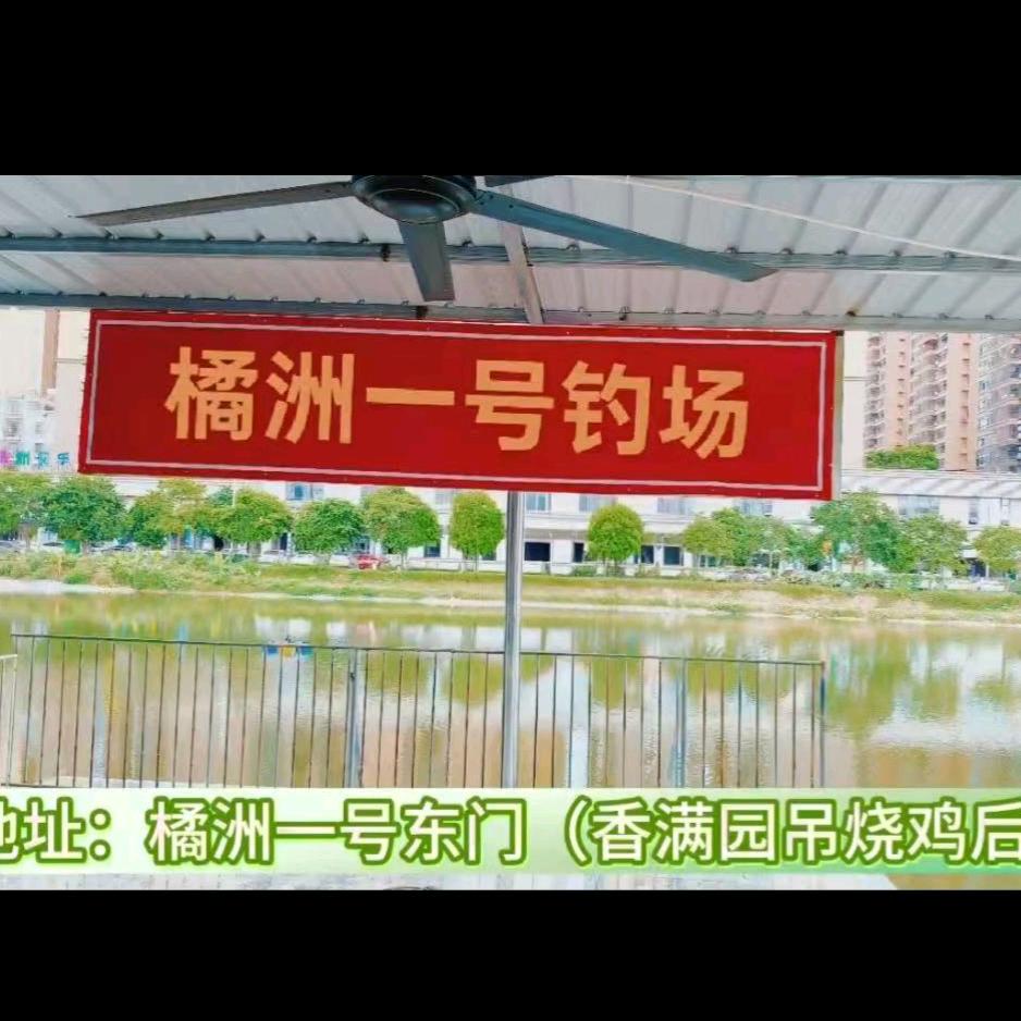橘洲一号钓场