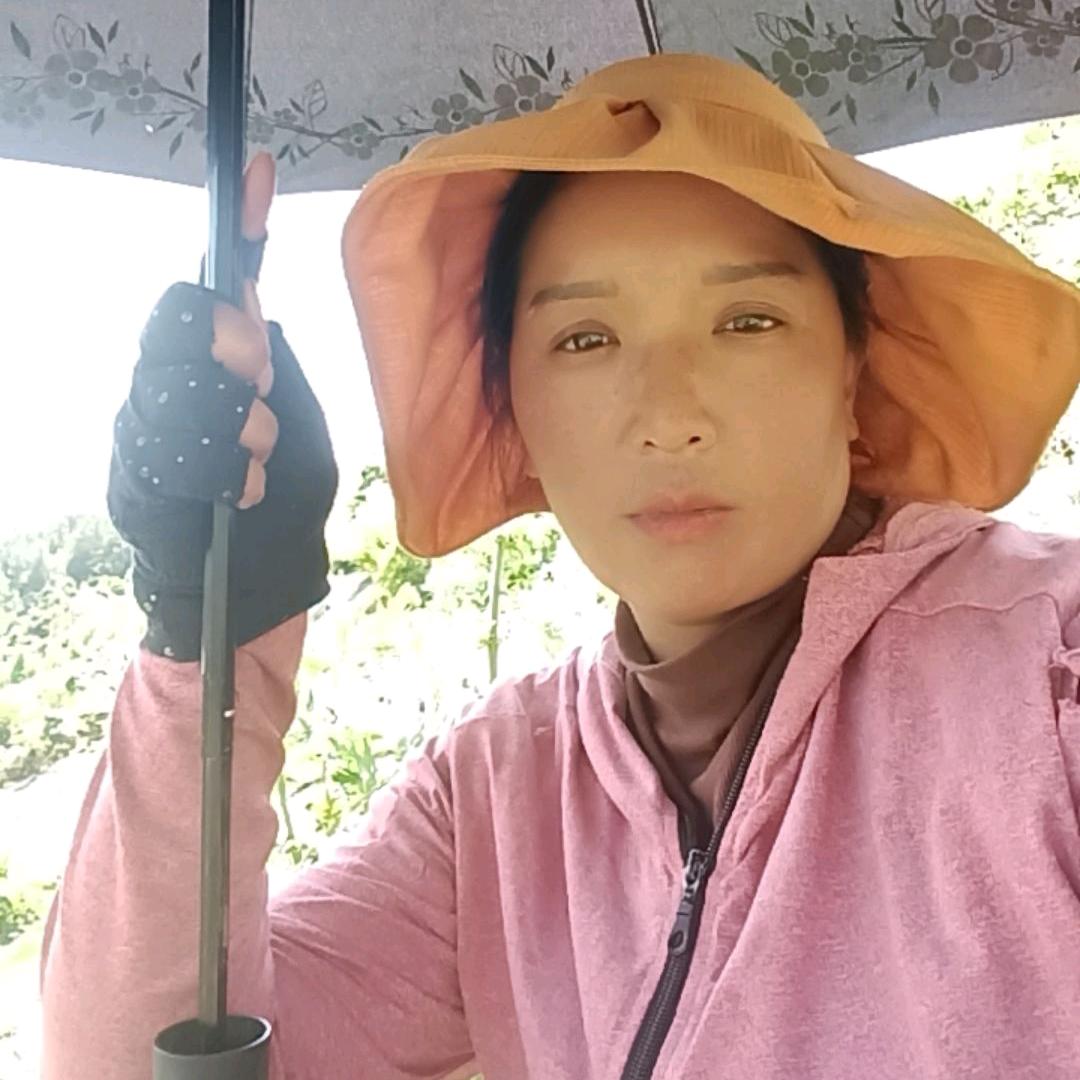 欭惗