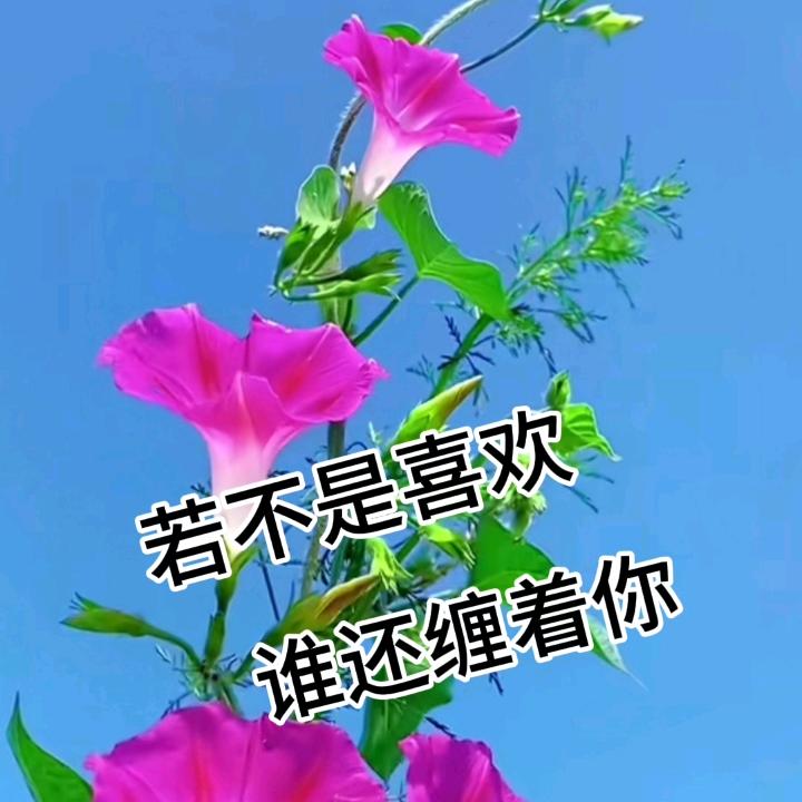 身体健康
