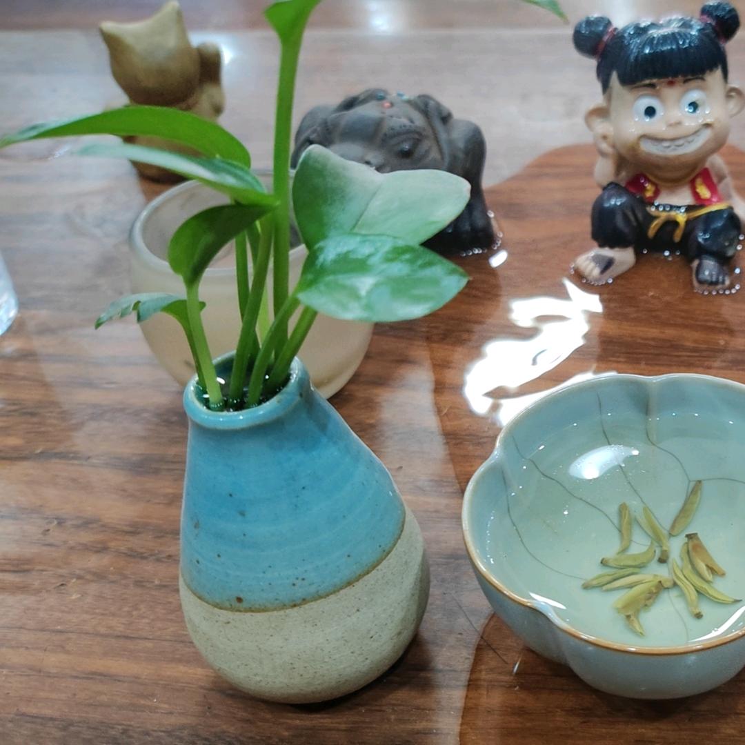 ❤️龙虎兄弟