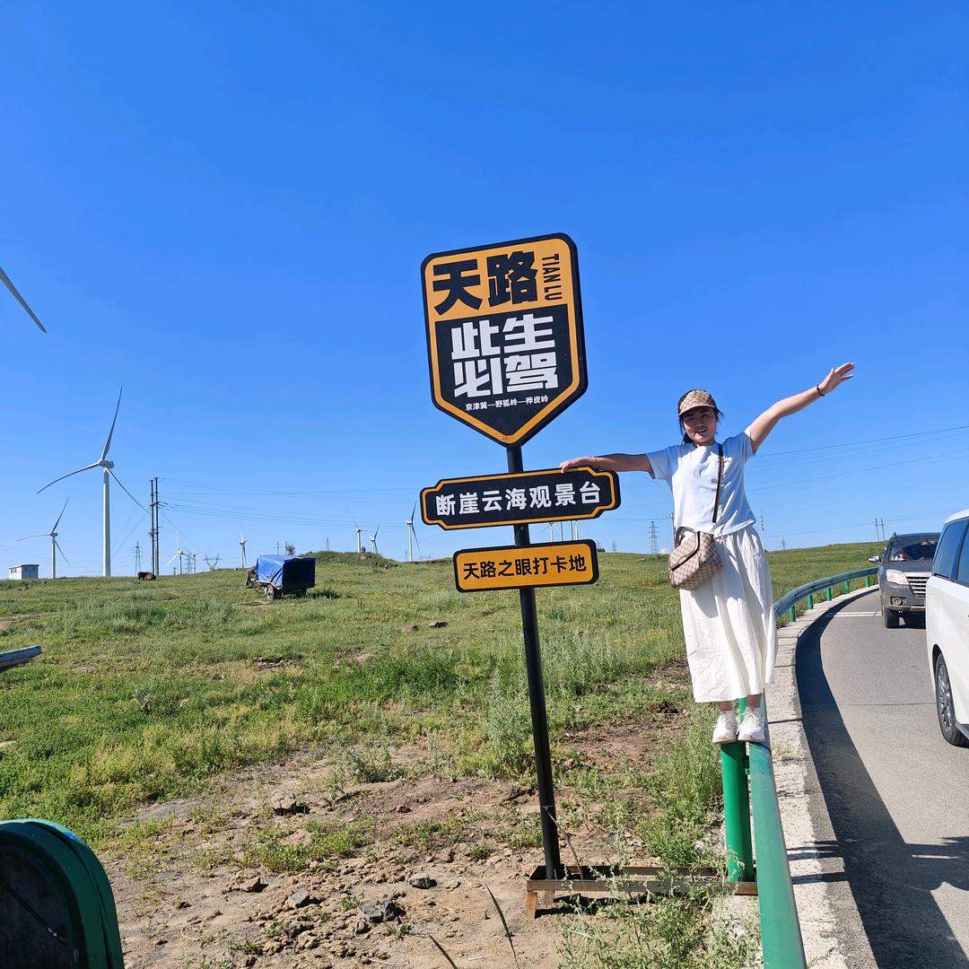 两个儿子的妈妈