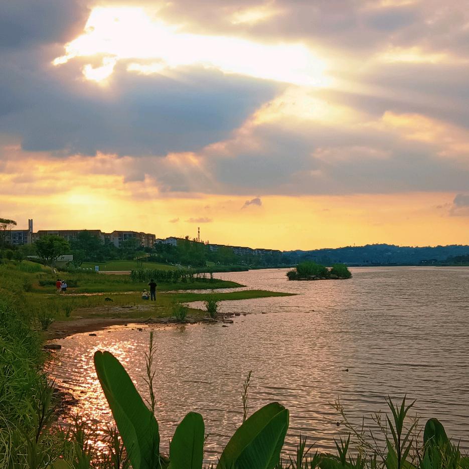小沈带你探工厂（川渝本地企业）