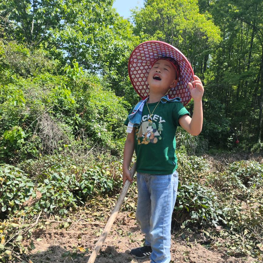 萌娃趣探徽味植物馆