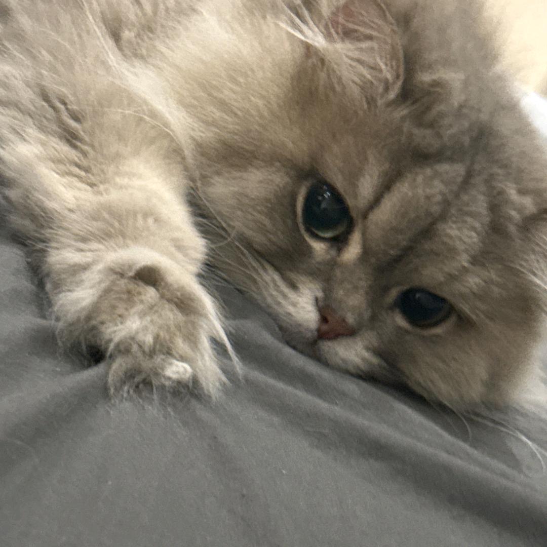 薇獭獭.🦦
